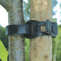 Colliers de tuteurage pour arbres - L45 cm